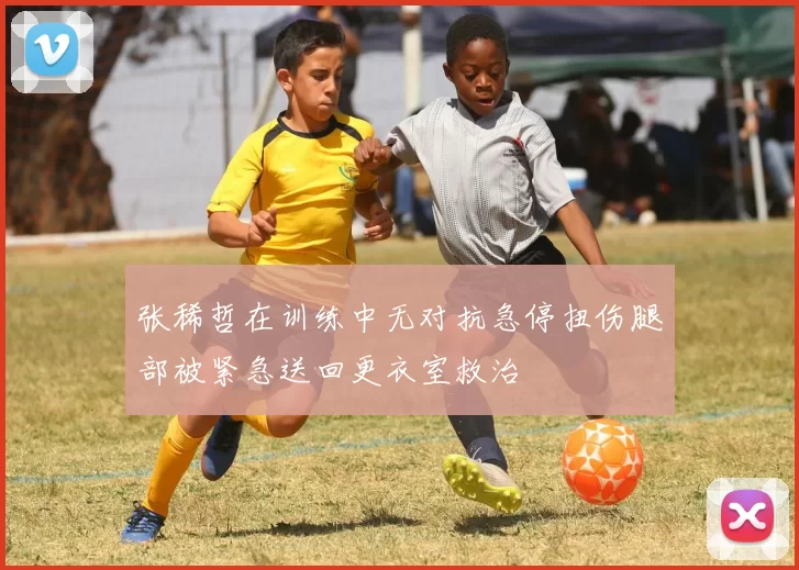 张稀哲在训练中无对抗急停扭伤腿部被紧急送回更衣室救治