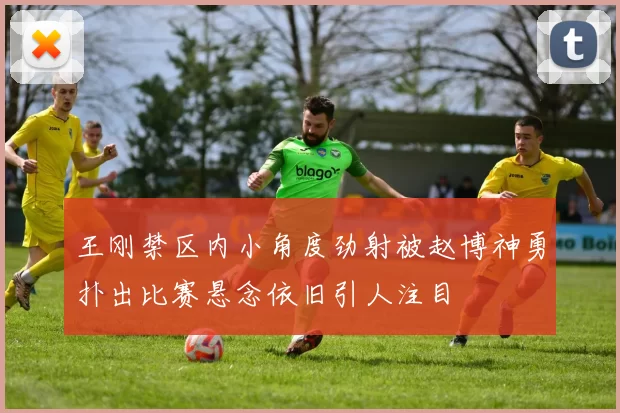 王刚禁区内小角度劲射被赵博神勇扑出比赛悬念依旧引人注目